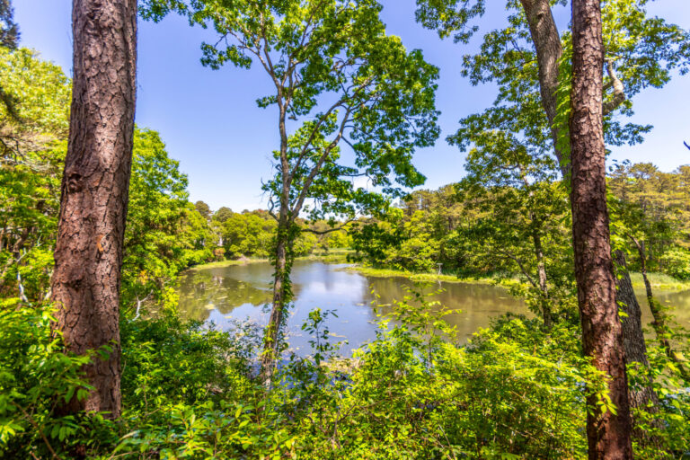 a view of a body of water in 5 Riverview Ave Unit C, Mashpee, MA 02649