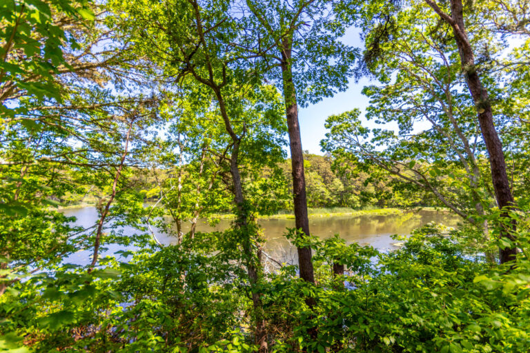 a view of a body of water in 5 Riverview Ave Unit C, Mashpee, MA 02649