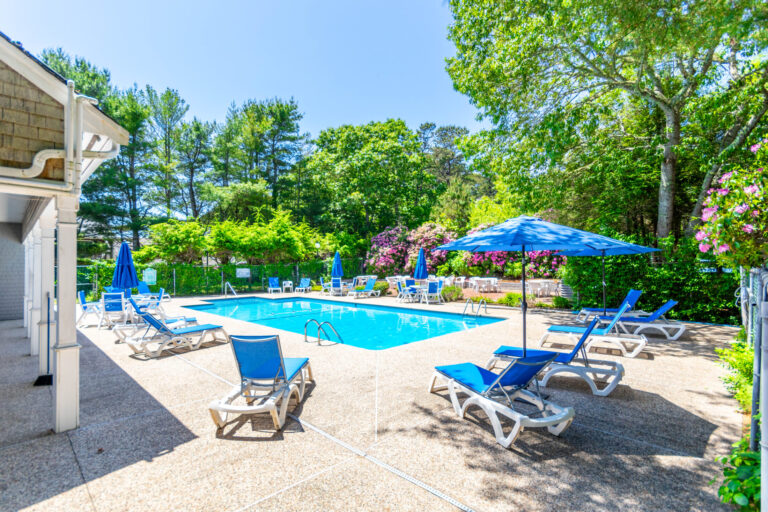 a swimming pool with chairs and umbrellas surrounded by trees