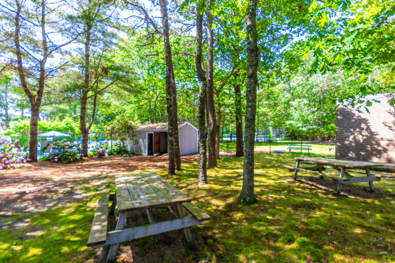 Picnic area with trees and a shed, featuring tables and a nearby pool in the background.