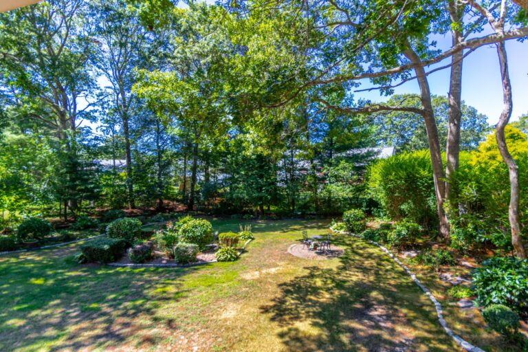 a backyard full of plants and trees