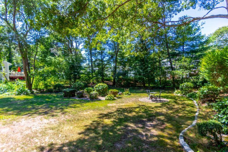 a backyard with full of trees and plants with a chair and table in the middle