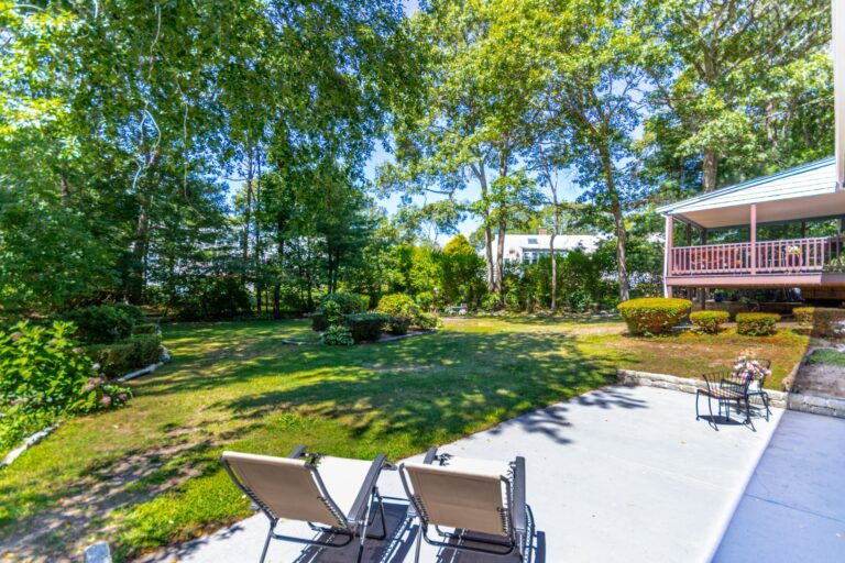 a backyard full of plants and trees