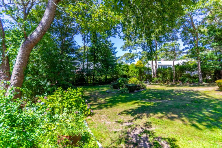 a backyard full of plants and trees