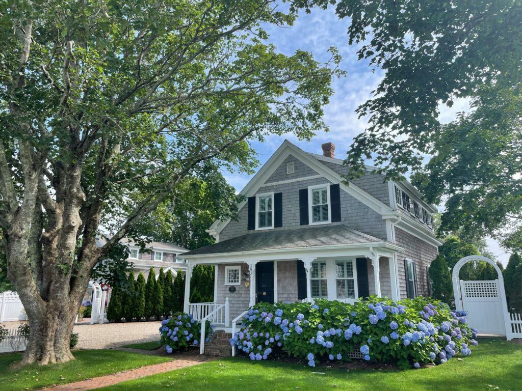 white and gray wooden house near green trees
