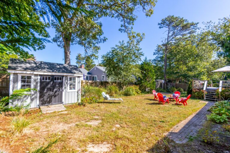 an open backyard with green grass and tall trees