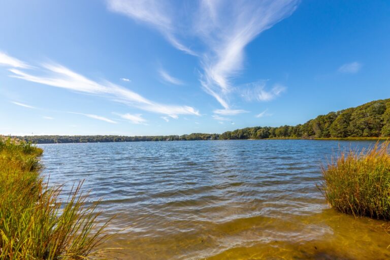 view of the lake from the shore