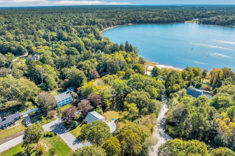 sandy shorelines and dense, green forested surroundings
