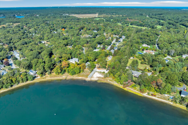 a residential waterfront area surrounded by dense trees