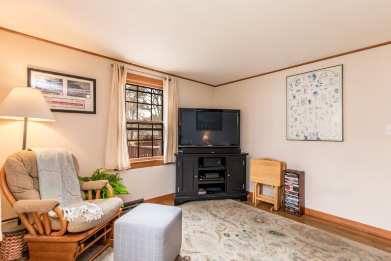 a den with chairs, television and small windows